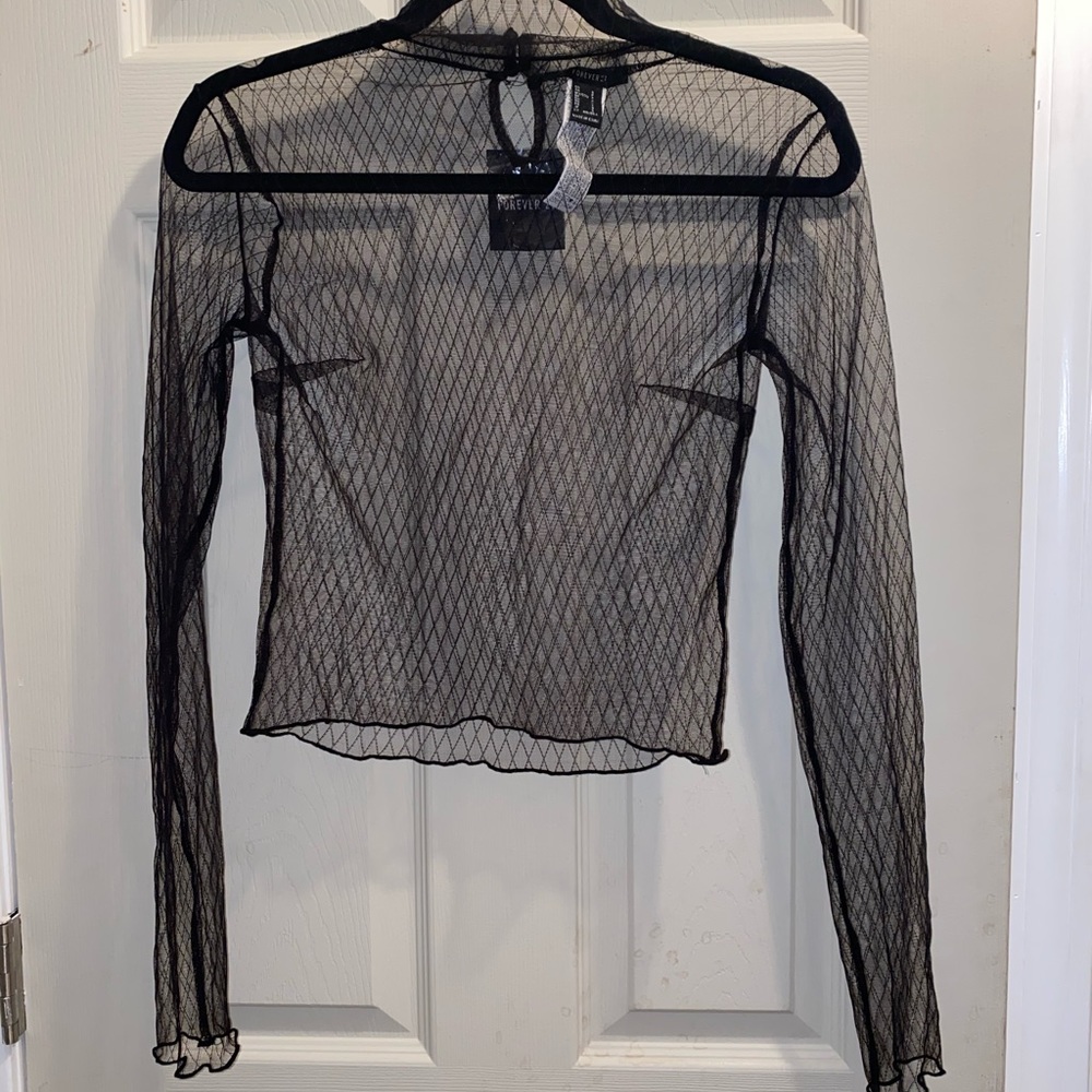 Sheer Long Sleeve Crop Top